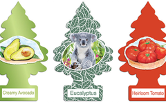 Which Little Trees car air freshener of late 2016 is the best? (complete version) Which Little Trees car air freshener of late 2016 is the best? (complete version)