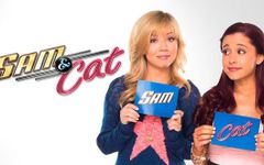 sam or cat? sam or cat?