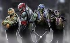 Which Ninja Turtle is your favourite . Which Ninja Turtle is your favourite .