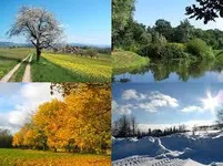 What is your favorite season? (1) What is your favorite season? (1)