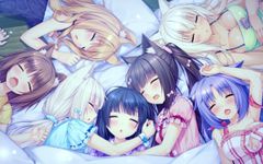 Which Neko? Which Neko?