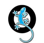 What do you do most on qfeast? What do you do most on qfeast?