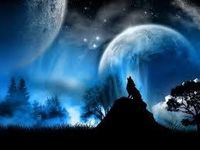 do you like wolves? (1) do you like wolves? (1)