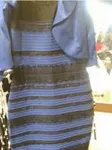 What Colors Do You See? What Colors Do You See?