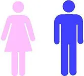 Are you a female or male? Are you a female or male?
