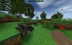 If you could have any pet out of these, what would it be? If you could have any pet out of these, what would it be?