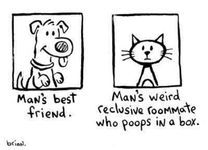 Are Cats even worse than dogs Are Cats even worse than dogs