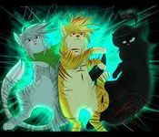 Hollyleaf,Jayfeather,or Lionblaze? Hollyleaf,Jayfeather,or Lionblaze?