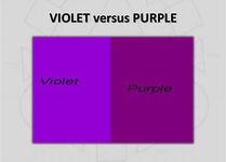 Do you say "purple" or "violet"? Do you say "purple" or "violet"?