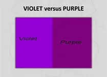 Do you say "purple" or "violet"? Do you say "purple" or "violet"?