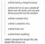 Are you a fangirl, fanboy or a 'normal' person? Are you a fangirl, fanboy or a 'normal' person?