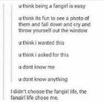 Are you a fangirl, fanboy or a 'normal' person? Are you a fangirl, fanboy or a 'normal' person?