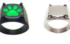 Silver or black and green? Silver or black and green?