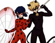 Who's Better: Ladybug or Cat Noir? Who's Better: Ladybug or Cat Noir?