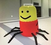 you like pet ant? you like pet ant?