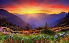Which landscape is better? Which landscape is better?
