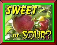 Sweet foods or sour foods? Sweet foods or sour foods?