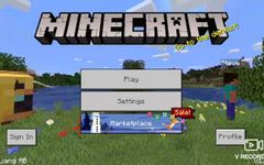 Minecraft Players, shine. Minecraft Players, shine.
