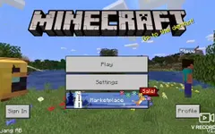 Minecraft Players, shine.