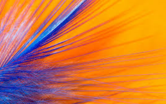which colour: orange or blue? which colour: orange or blue?