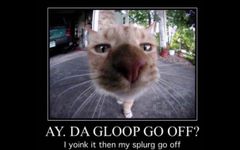 ay da gloop go off? ay da gloop go off?