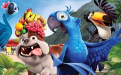 Did you enjoy the movie Rio? Did you enjoy the movie Rio?