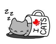 What Chibi cat would you adopt? What Chibi cat would you adopt?