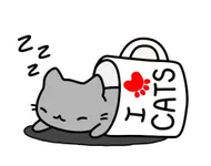 What Chibi cat would you adopt?