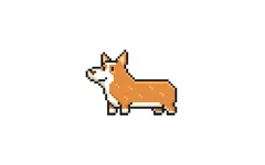 red purple, or blue??   (have a corgi)