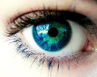 Eyes truly are windows to the soul, but they forgot to mention what type of window it was. (Would you read this story?) Eyes truly are windows to the soul, but they forgot to mention what type of window it was. (Would you read this story?)