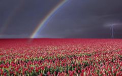 What's your favourite weather? What's your favourite weather?