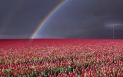 What's your favourite weather? What's your favourite weather?