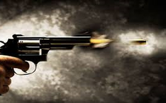 What Would You Do If You Heard A Gun Shot? What Would You Do If You Heard A Gun Shot?