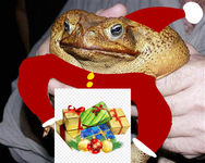 Vote fredrick for Santa and qfeasts icon Vote fredrick for Santa and qfeasts icon