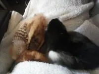 Which one is cuter? (2) Which one is cuter? (2)
