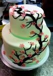 What Cake do you Like Better? What Cake do you Like Better?