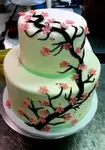 What Cake do you Like Better? What Cake do you Like Better?