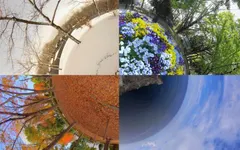 what is your favorite season? (3) what is your favorite season? (3)