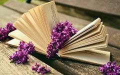 Which is the best book? Which is the best book?