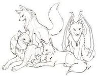 What type of wolf are you? What type of wolf are you?