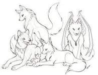 What type of wolf are you? What type of wolf are you?