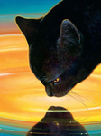 Warriors cats hollyleaf onestar Warriors cats hollyleaf onestar