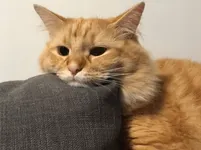 Are you bored rn?