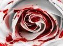 who do you think would win in a fight between horror movies who do you think would win in a fight between horror movies