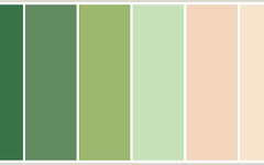 Do you like Peach or Green Do you like Peach or Green