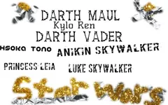 Who Is Your Favorite Star Wars Character? Who Is Your Favorite Star Wars Character?
