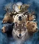 What is your favorite animal? (3) What is your favorite animal? (3)