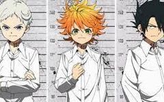 who is your fav tpn ? who is your fav tpn ?