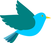Which bird do you choose: Cockatoo or Robin? Which bird do you choose: Cockatoo or Robin?
