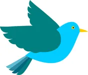 Which bird do you choose: Cockatoo or Robin?